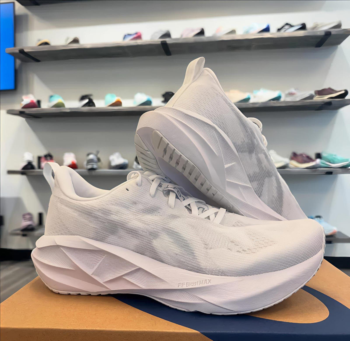 Asics โ NOVABLAST -Greyโ