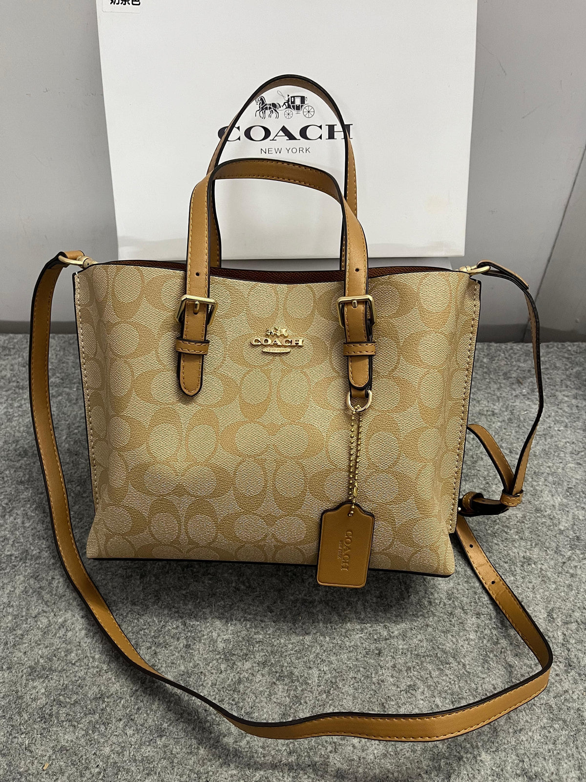 Coach Mollie Leather Tote Bag (Apricot)*🔥⚡