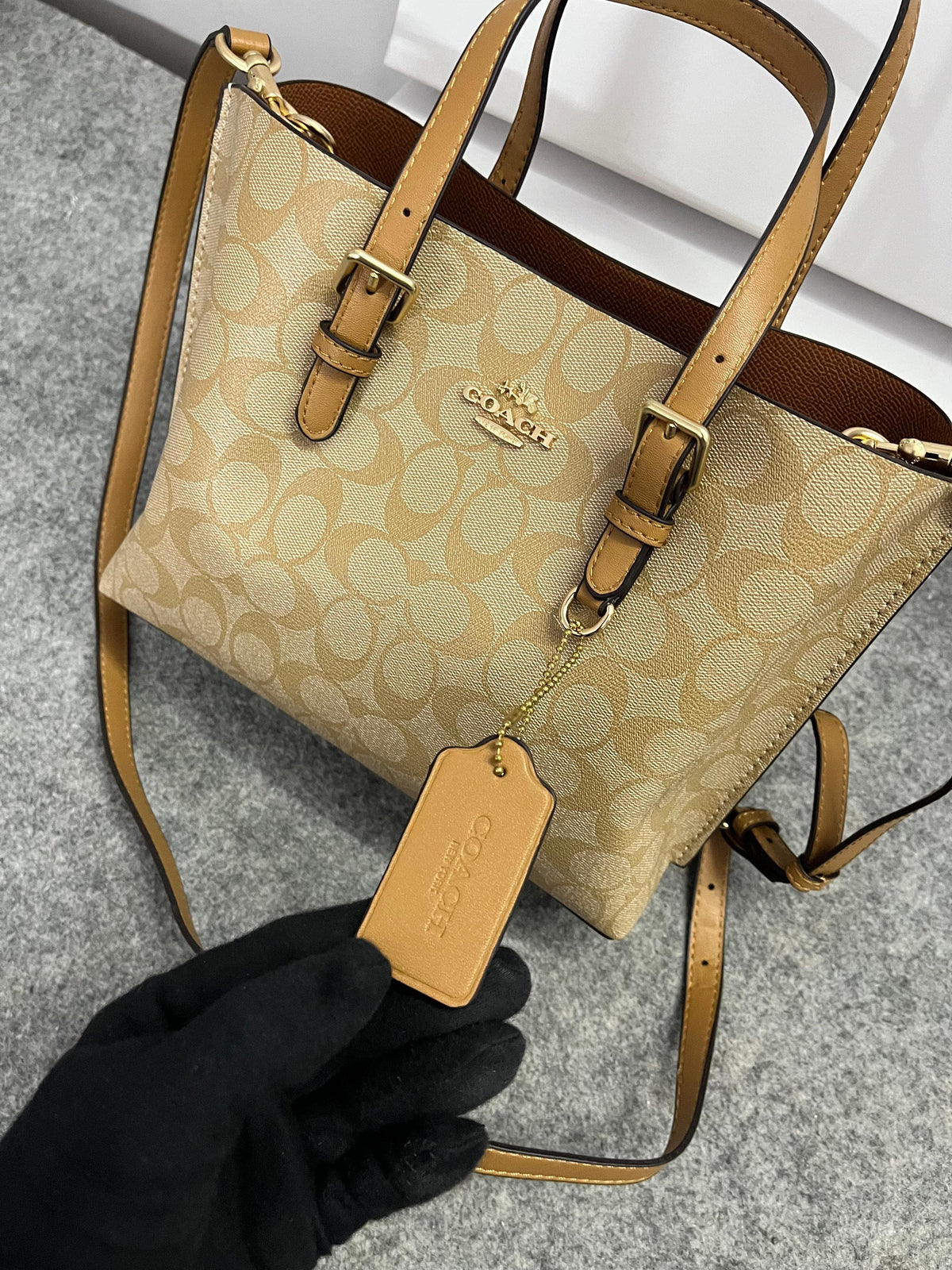 Coach Mollie Leather Tote Bag (Apricot)*🔥⚡