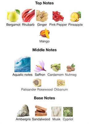 Swiss Arabian Soul Of Bali 100ML Extrait De Parfum For Men And Women