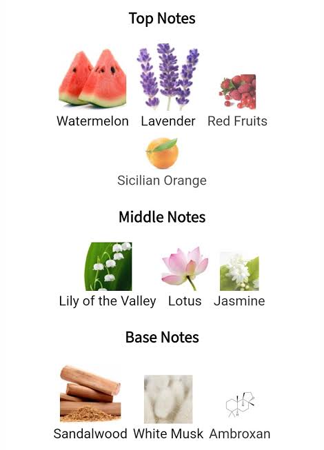 Ahmed Al Maghribi KAAF Perfume 100ml Extrait De Parfum