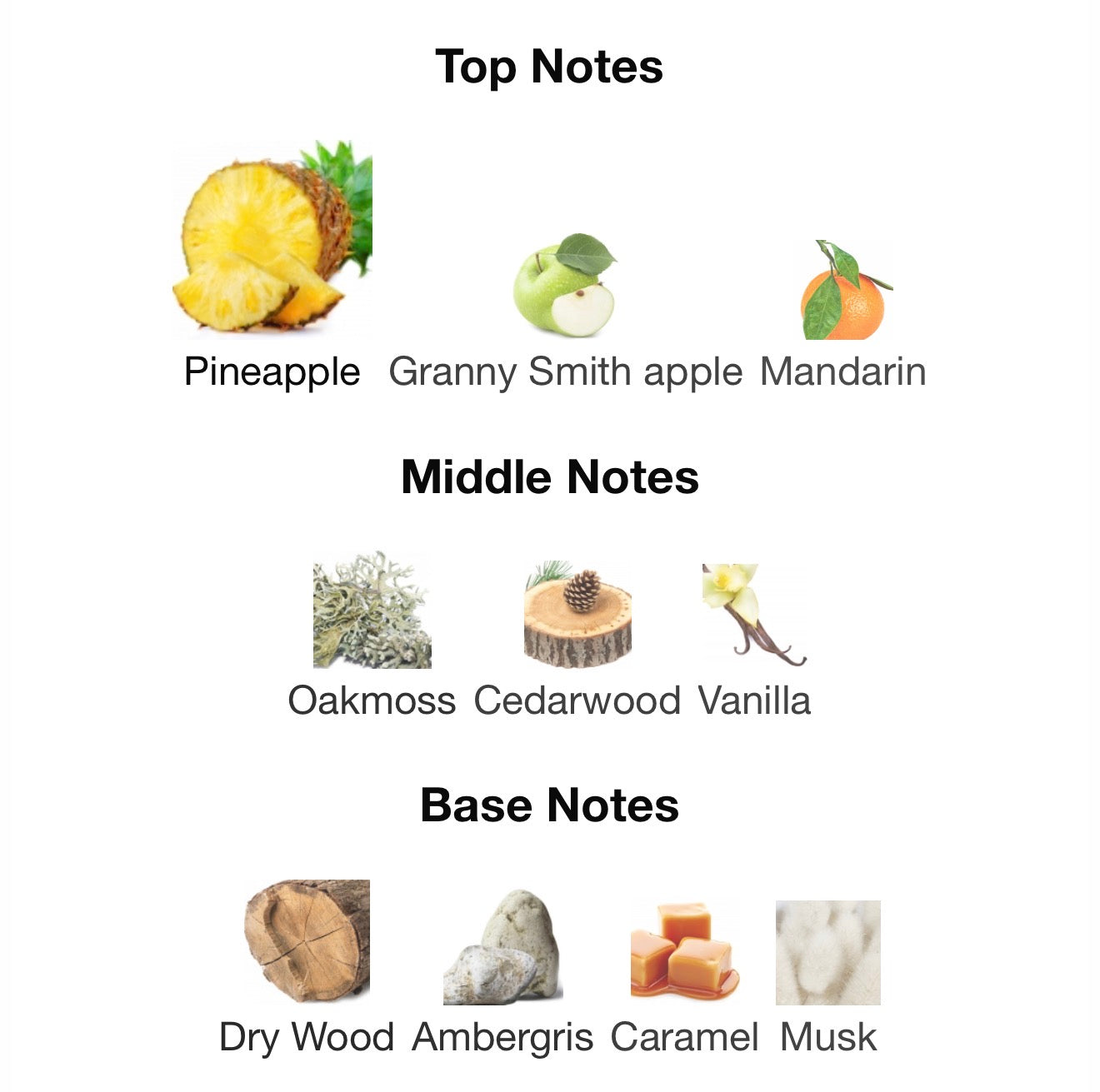 Afnan 9PM Rebel 100ml Edp