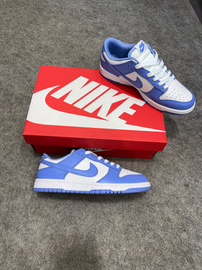 Dunk 'Polar Blue'