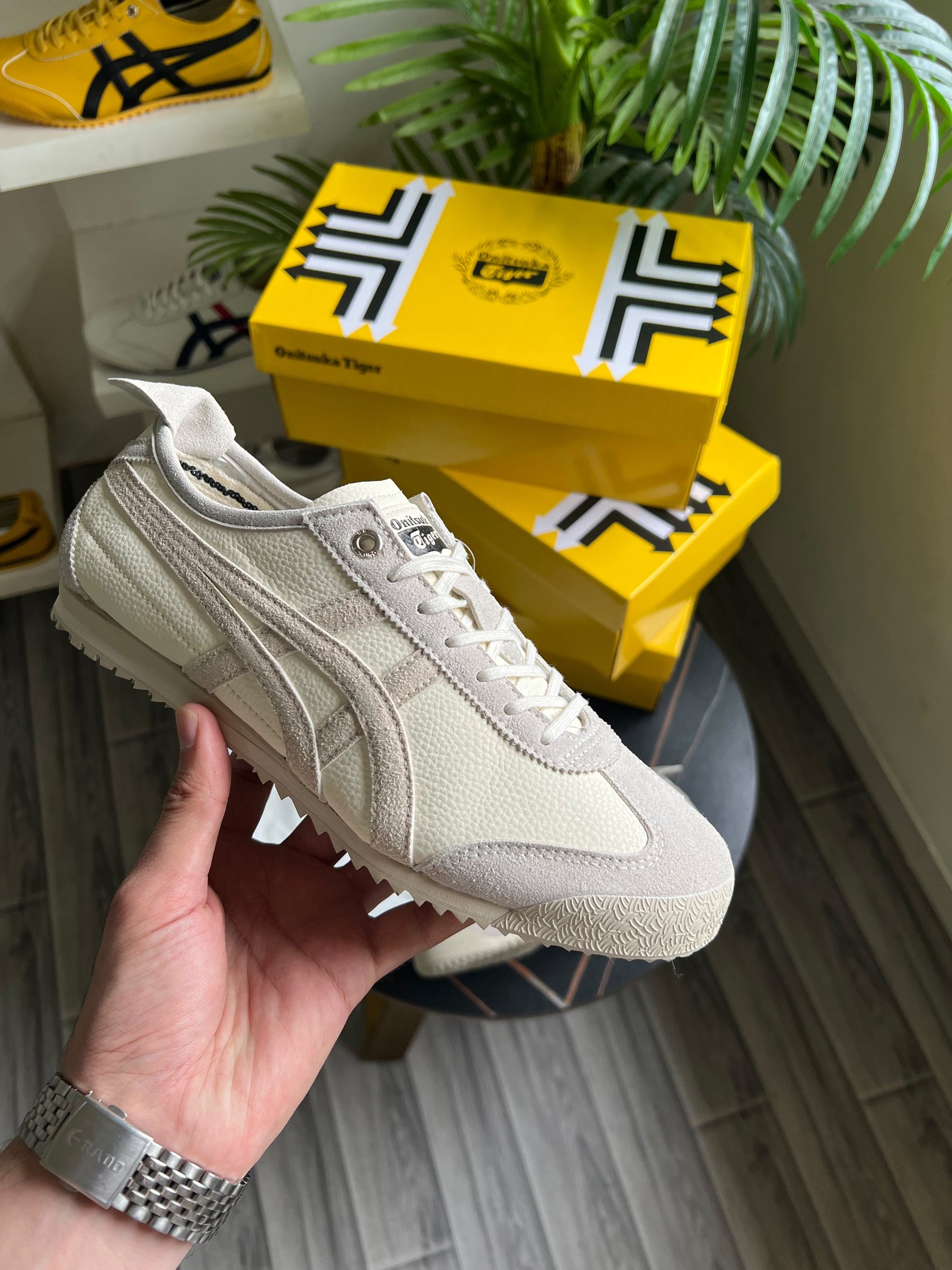 TIGER MEXICO 66 SD Cream Birch