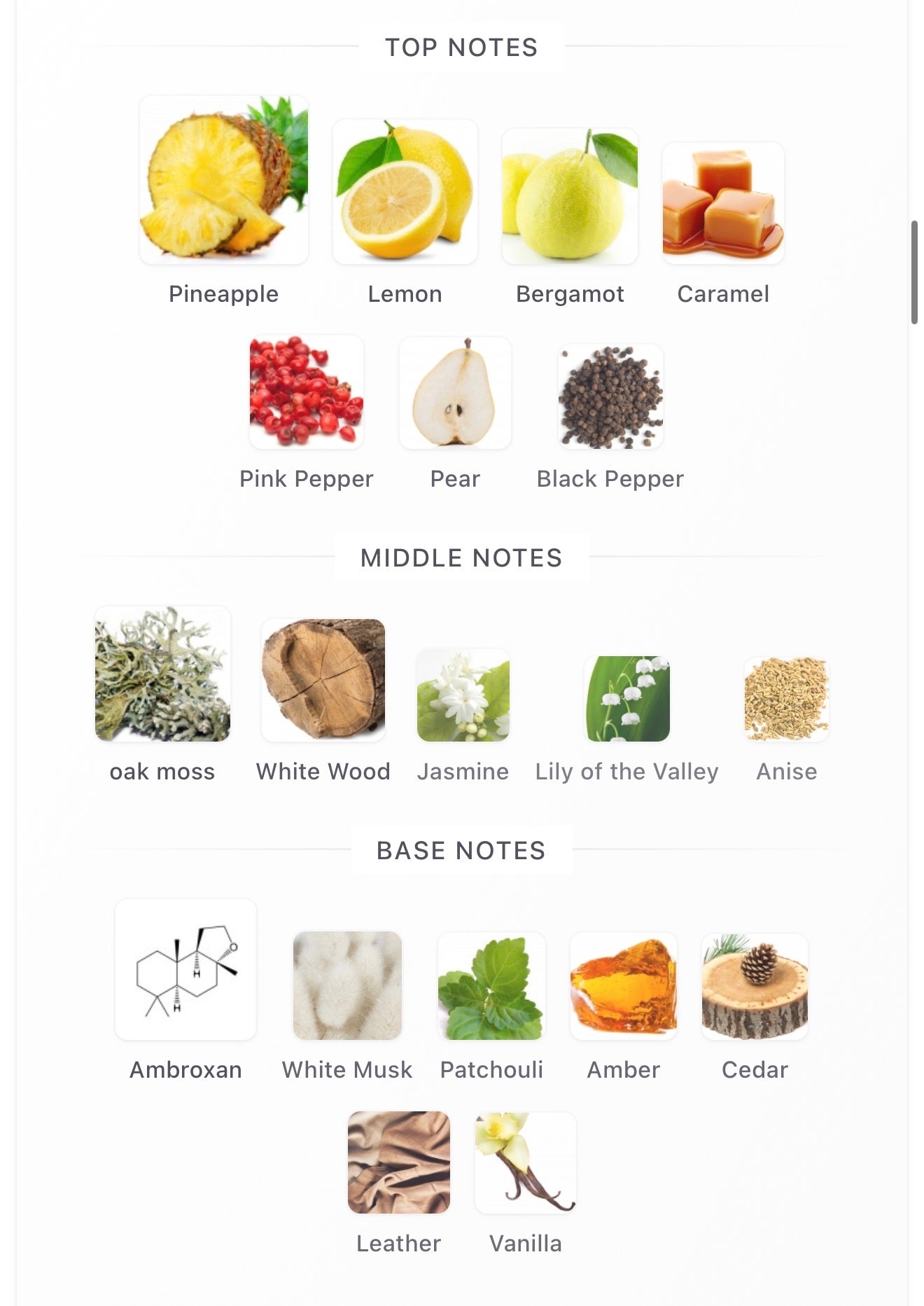 Armaf Club De Nuit Precieux For Men And Women Extrait De Parfum 55ml