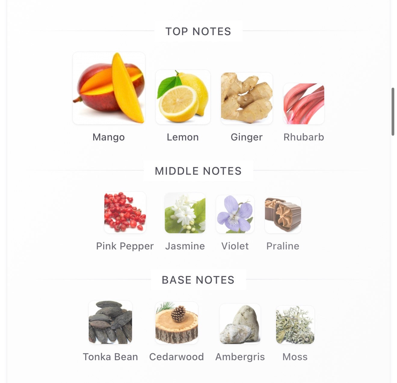 Fragrance World French Avenue Vulcan Feu 100ML EDP