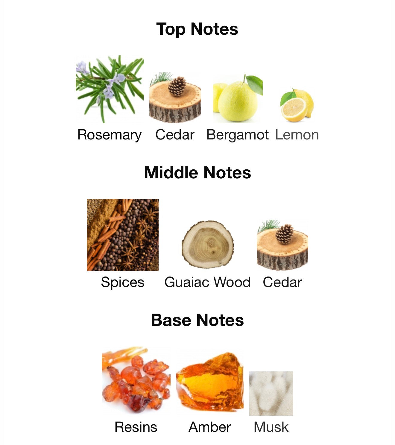 Al Haramain Amber Oud 100ml EDP