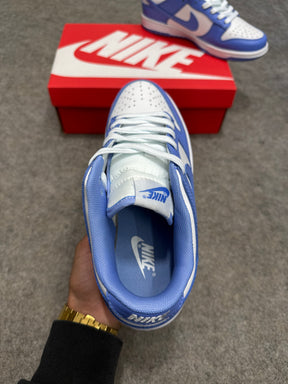 Dunk 'Polar Blue'