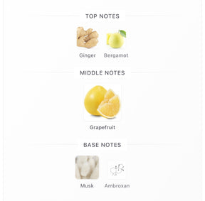 Khadlaj Island Dreams 100ml Extrait De Parfum For Men And Women