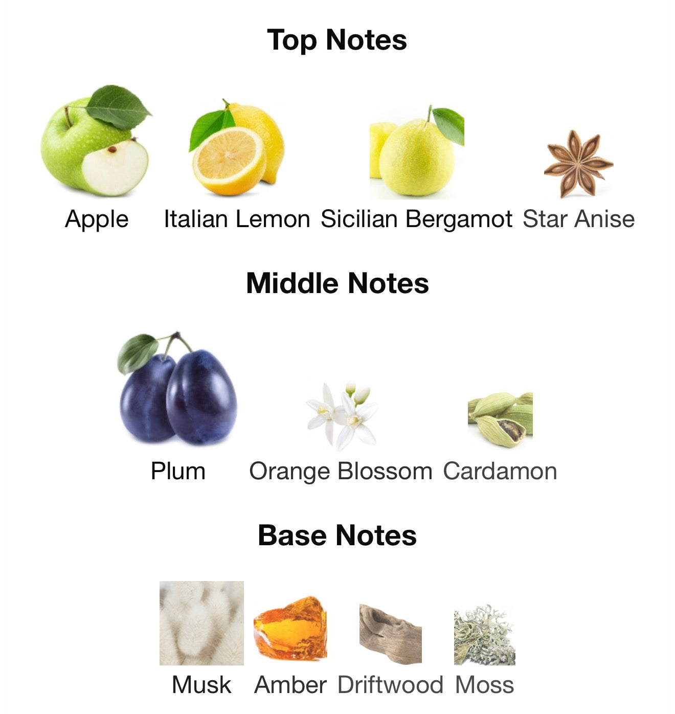 Rasasi Hawas Ice 100Ml EDP