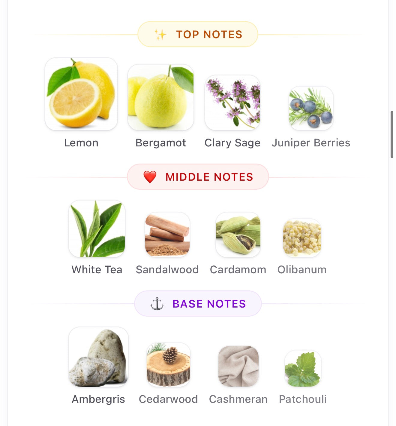 Lattafa Emeer 100ml EDP