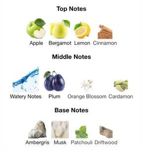 Rasasi Hawas For Him EDP 100ml