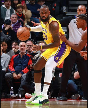 Nike LEBRON 22 JAMES GAME